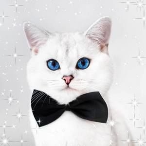 Meet your Posher, Mayra